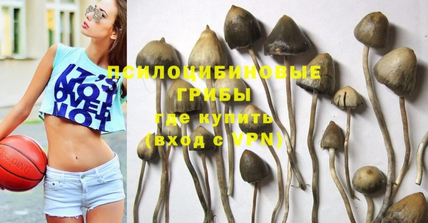 а пвп мука Алексеевка