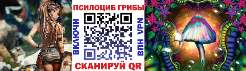 Псилоцибиновые грибы Psilocybine cubensis  купить наркоту  Магадан 